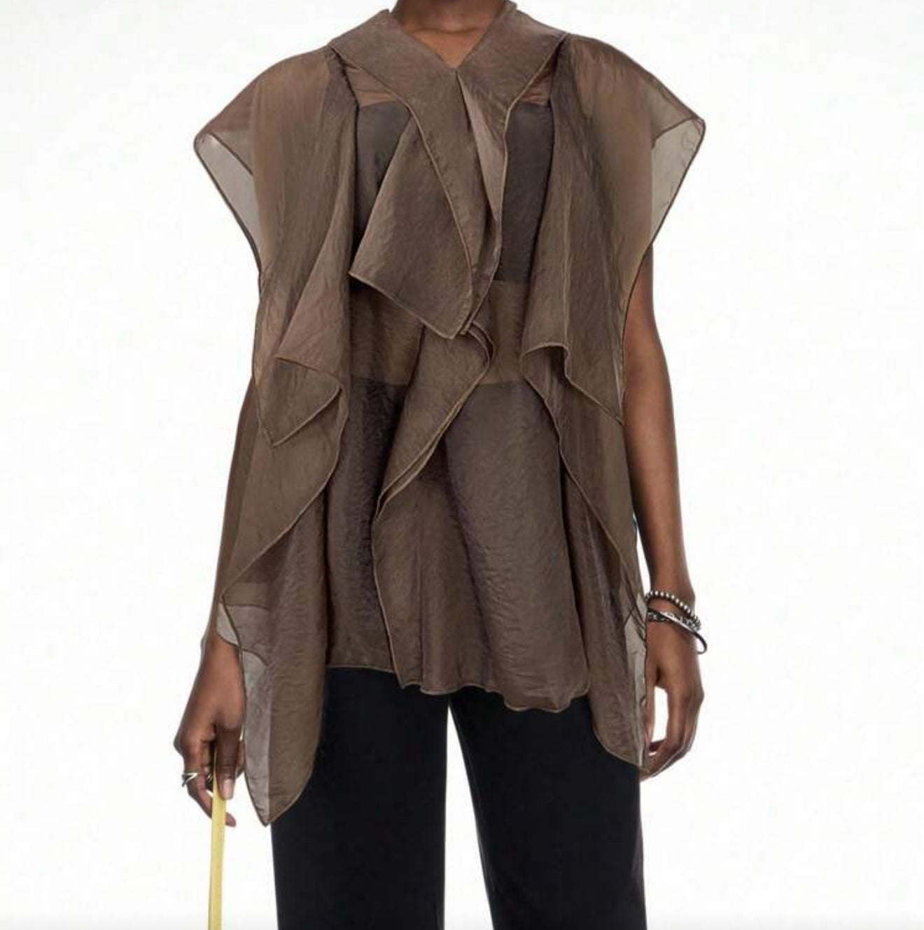 Dafna Sheer Ruffle Top