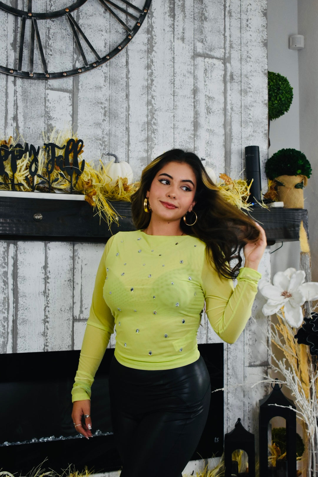 Jade Embellished Sheer Top