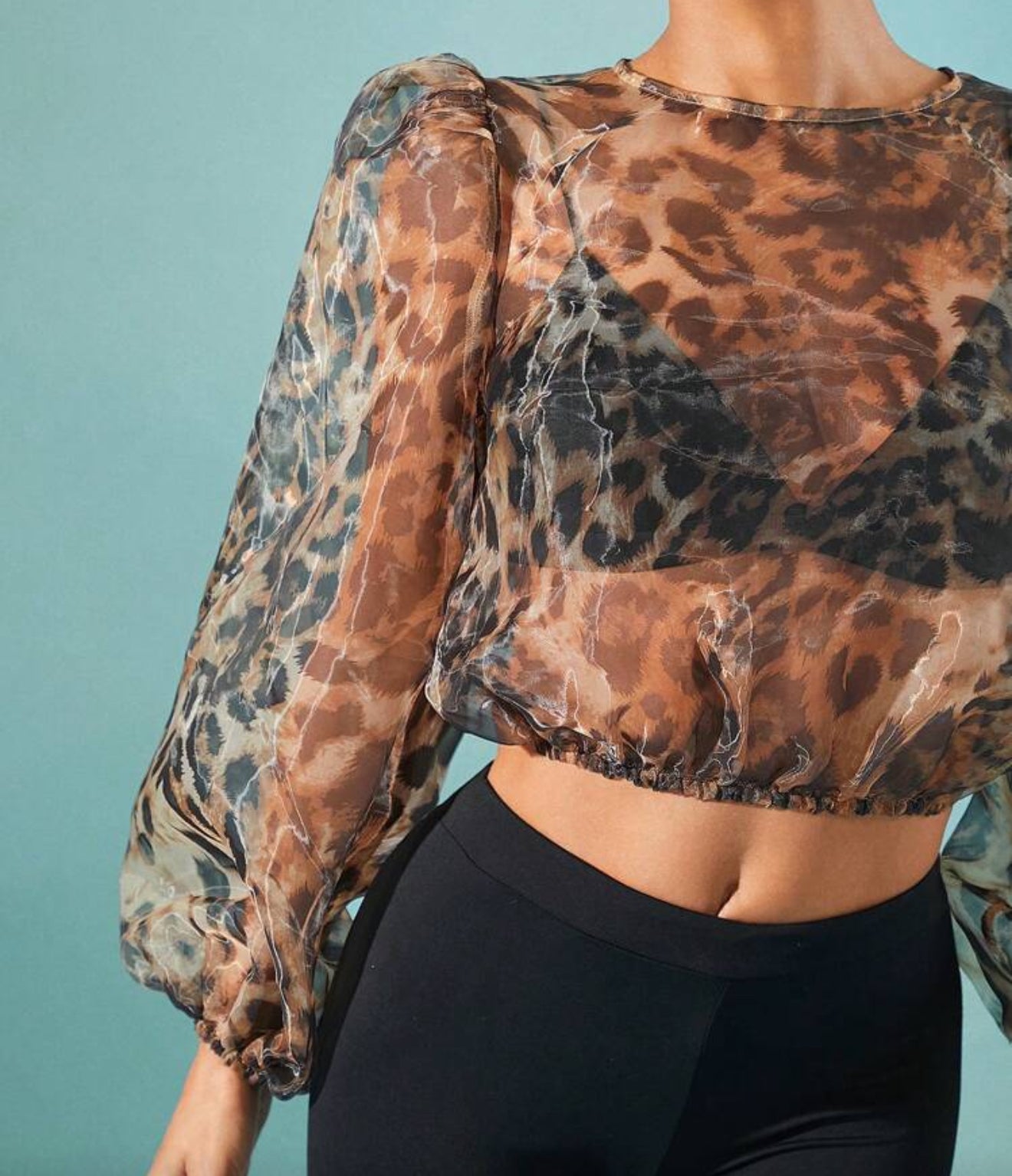 Nia Animal Print Sheer Crop Top
