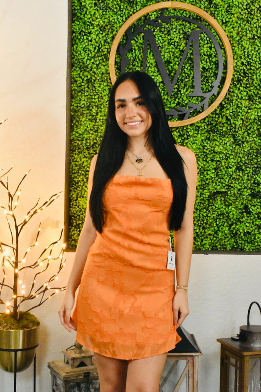 Gladia Mini Dress