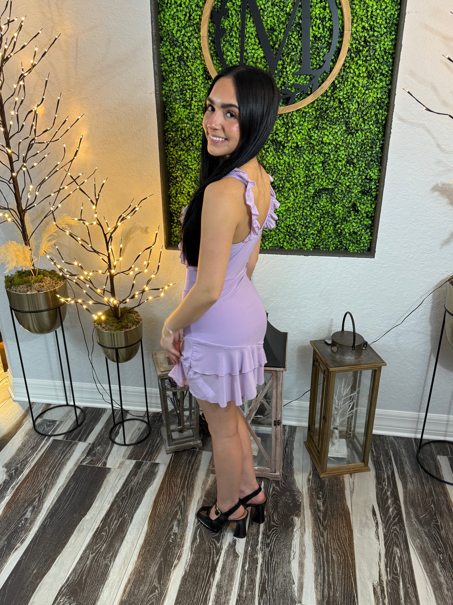 Noelia Sheer Ruffle Mini Dress
