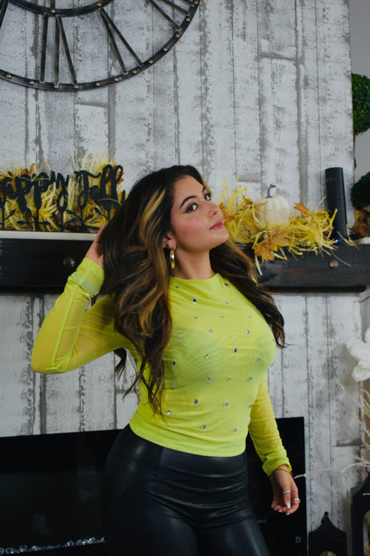 Jade Embellished Sheer Top