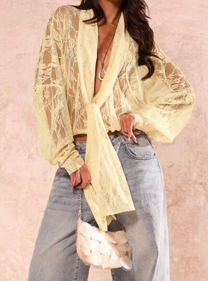Butterly Long Sleeve Lace Blouse