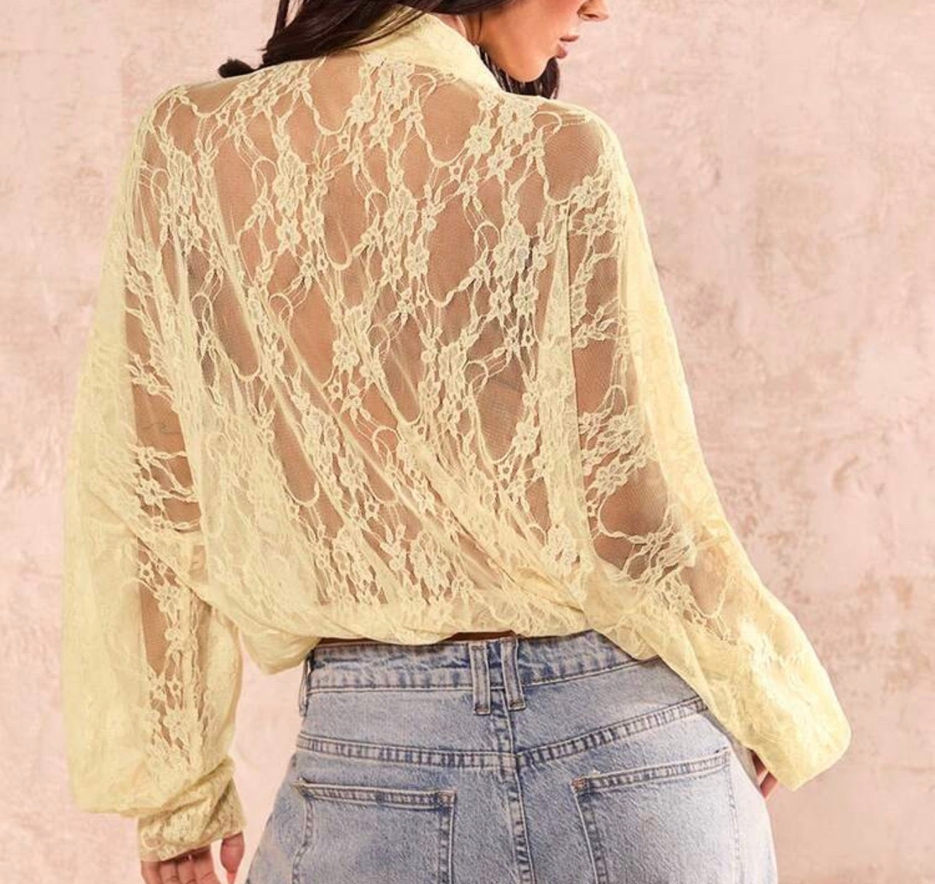 Butterly Long Sleeve Lace Blouse