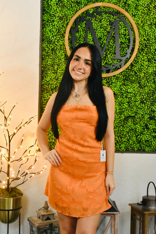 Gladia Mini Dress