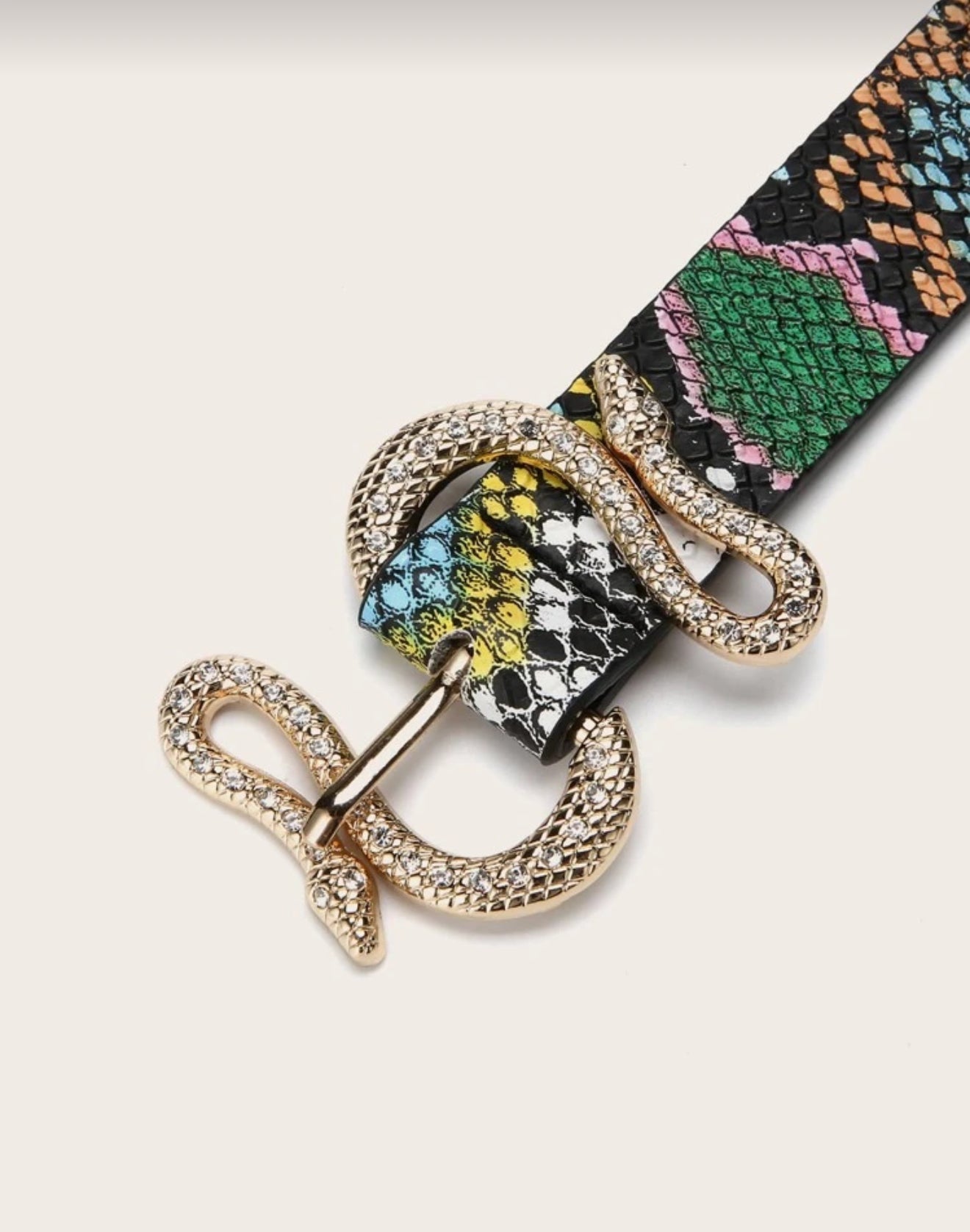Colored Snake Embellished Belt
