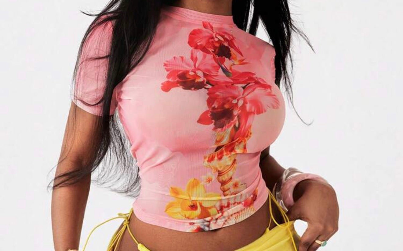 Breezy Short Sleeve Sheer Top